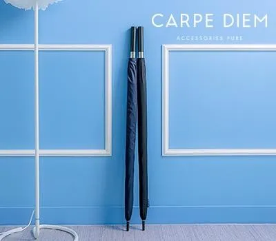 카르페디엠 75 경량 카본 골프우산